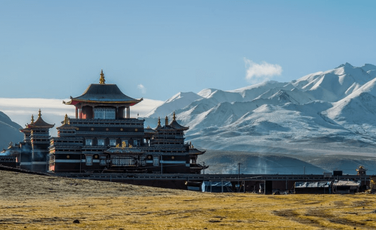 贸易数据,贸易数据查询,贸易数据查询平台